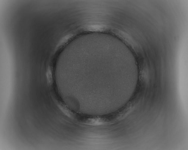 X0000111250688200907021431