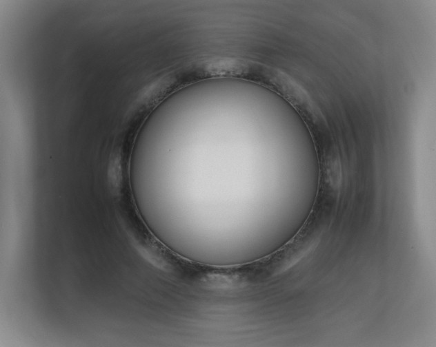 X0000111250690200907021431