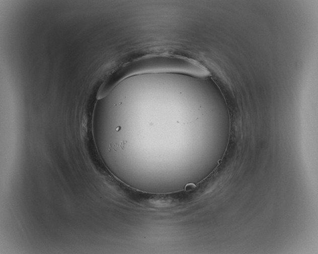 X0000111250693200907021431