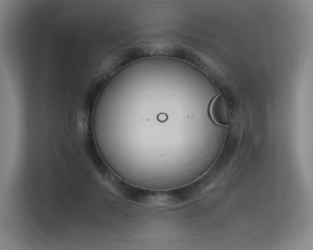 X0000111250695200907021431