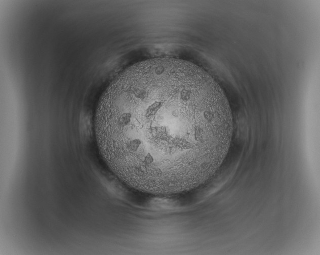 X0000111250699200907021431