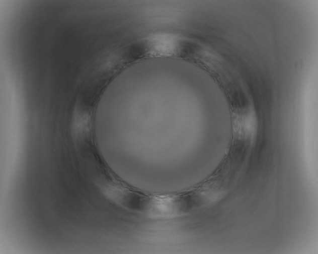 X0000111250701200907021431