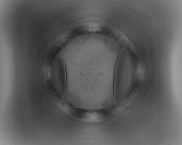 X0000111250704200907021431