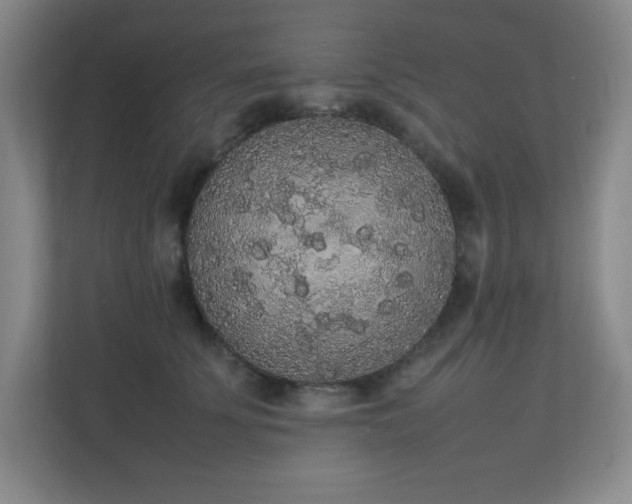 X0000111250707200907021431