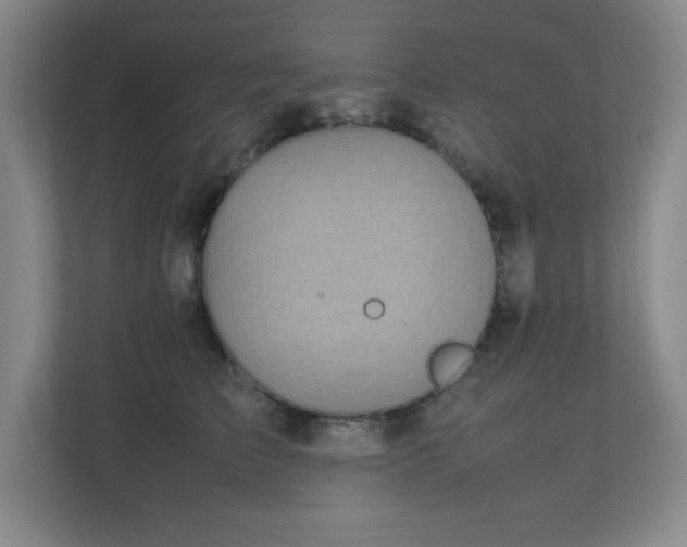X0000111250709200907021431