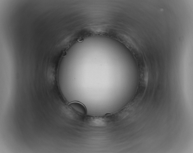 X0000111250710200907021431