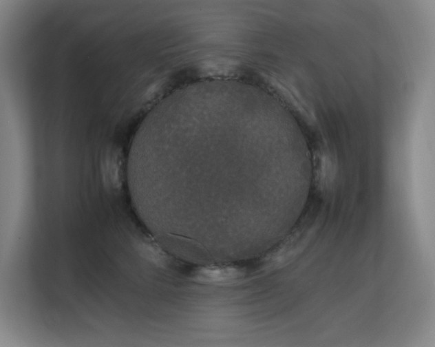 X0000111250712200907021431