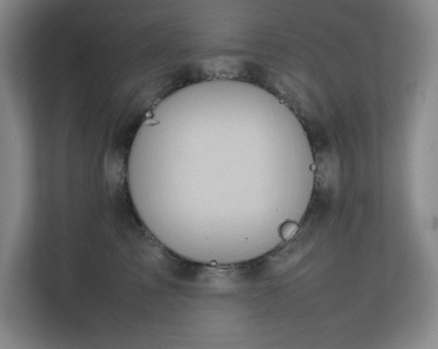 X0000111250713200907021431