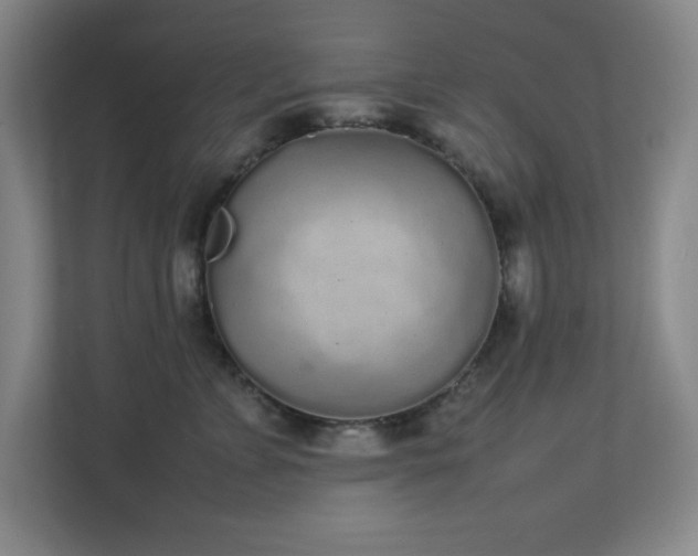 X0000111250715200907021431
