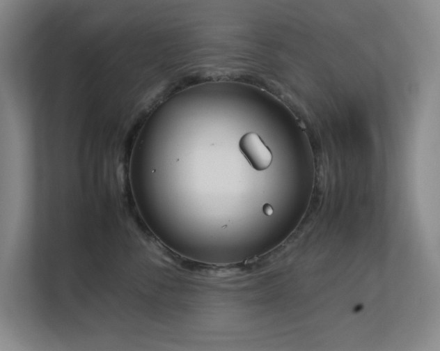X0000111250716200907021431