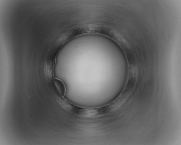 X0000111250719200907021431