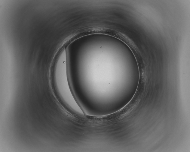 X0000111250725200907021430