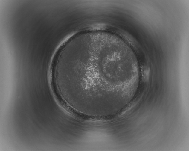 X0000111250726200907021430