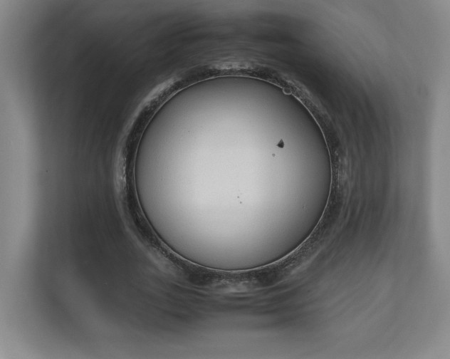 X0000111250727200907021430
