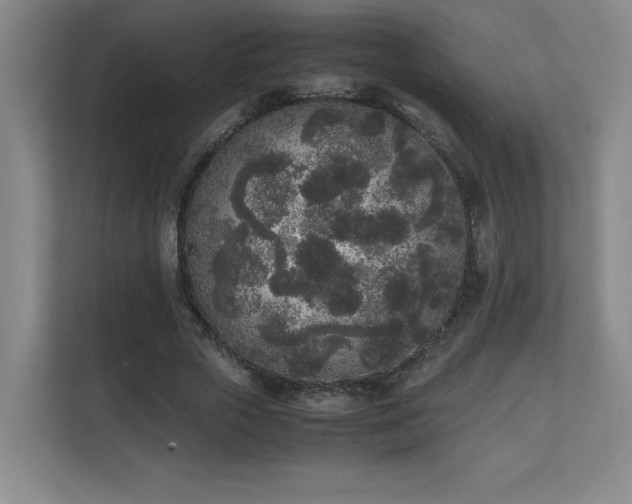 X0000111250729200907021430