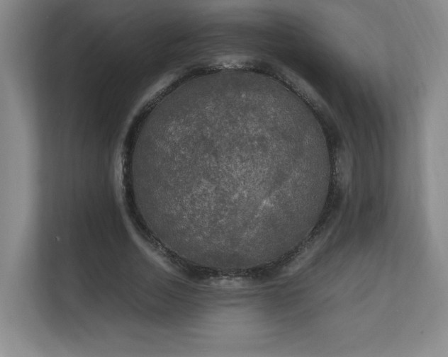 X0000111250730200907021431