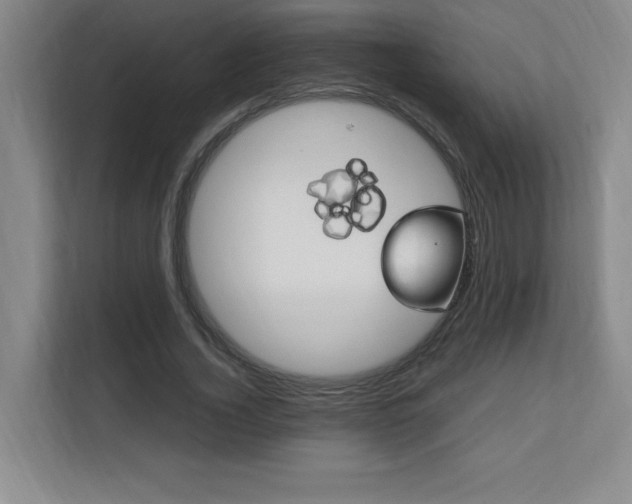 X0000111250732200907021431