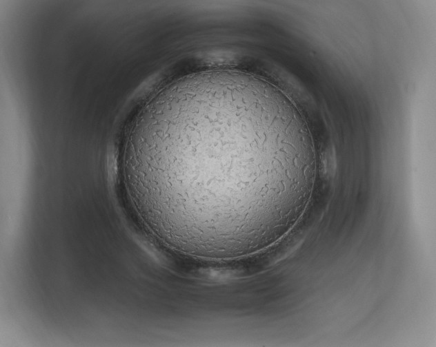 X0000111250733200907021431