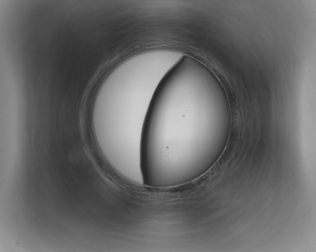 X0000111250736200907021431