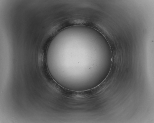 X0000111250739200907021431
