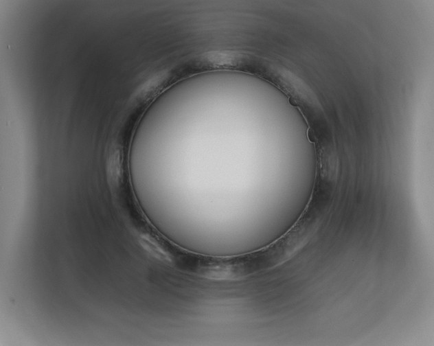 X0000111250740200907021431