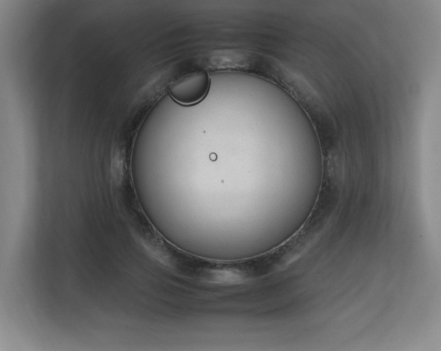X0000111250741200907021431
