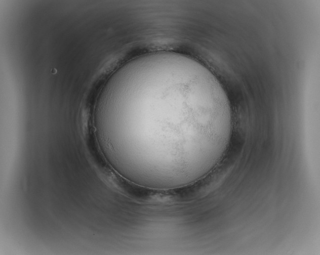 X0000111250742200907021431