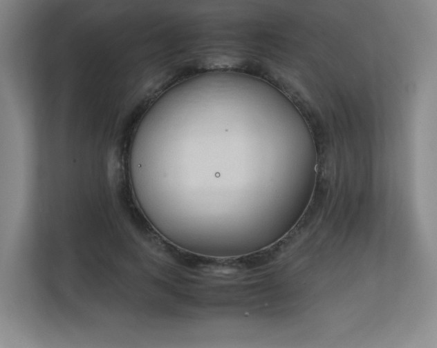 X0000111250743200907021431