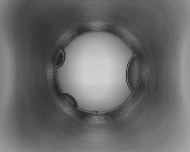 X0000111250744200907021431