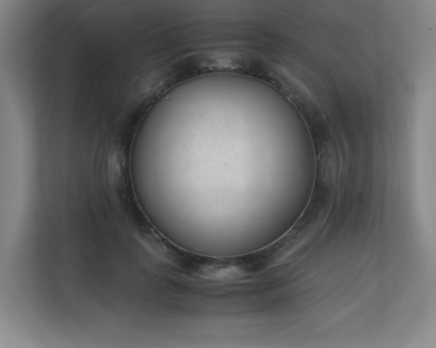 X0000111250747200907021431