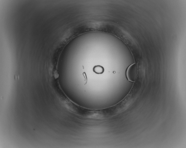 X0000111250750200907021431