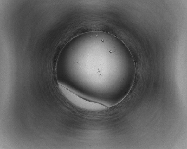 X0000111250752200907021431