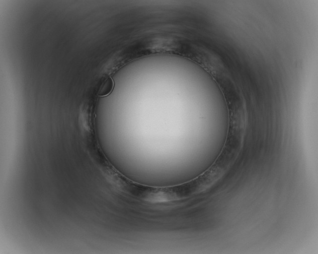 X0000111250755200907021431