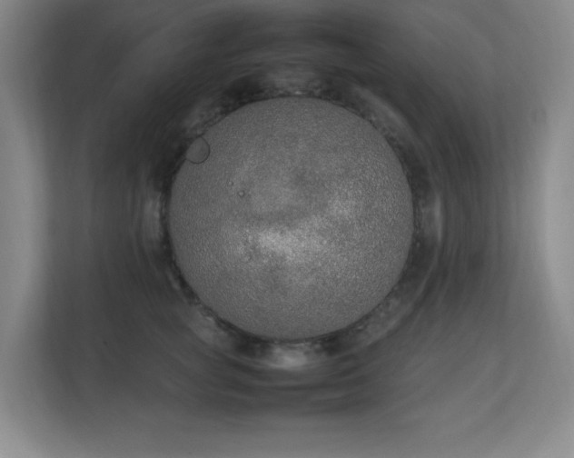 X0000111250757200907021431
