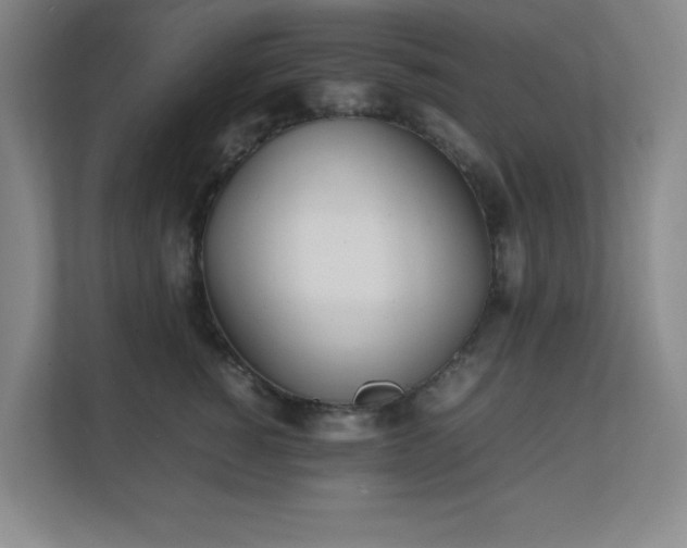 X0000111250760200907021431
