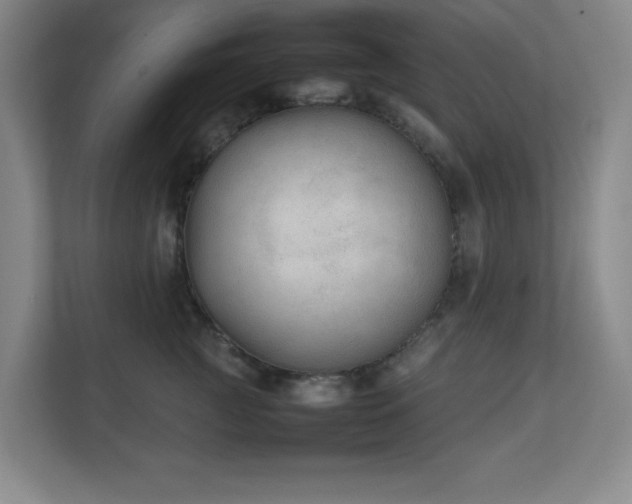 X0000111250761200907021431