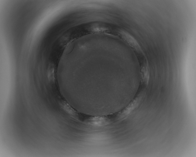 X0000111250762200907021431