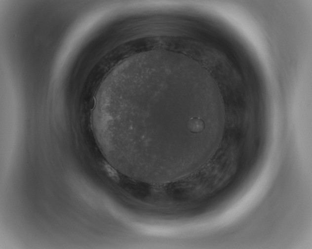 X0000111250766200907021431