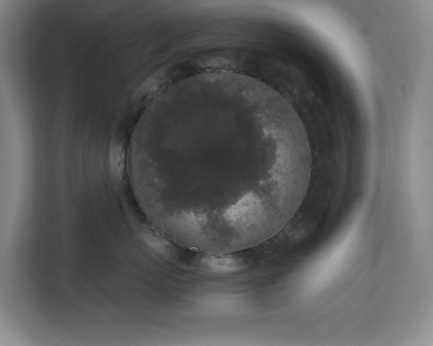 X0000111250767200907021431
