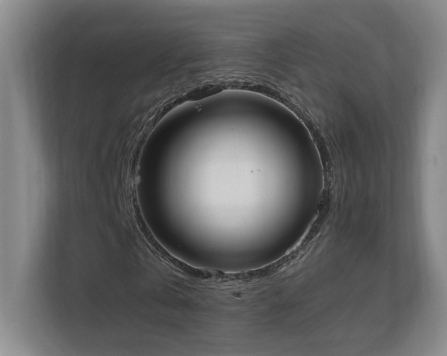 X0000111250769200907021430