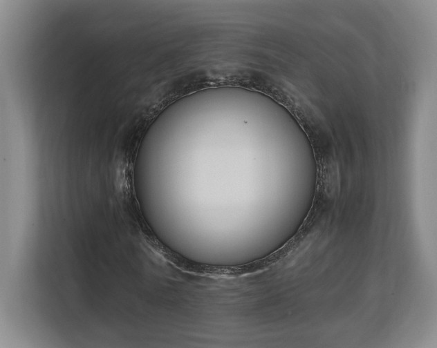 X0000111250770200907021430