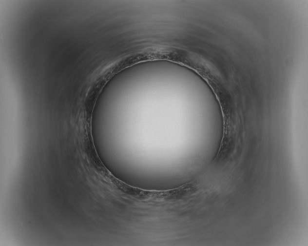 X0000111250773200907021430