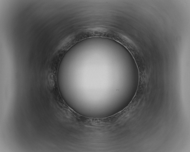 X0000111250774200907021430