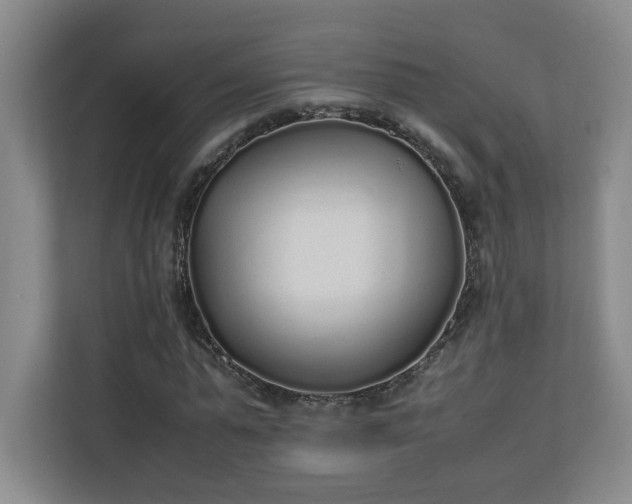 X0000111250775200907021430