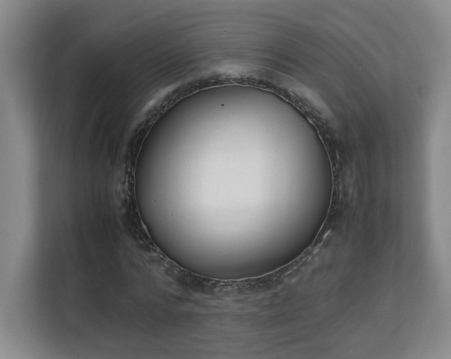X0000111250776200907021430
