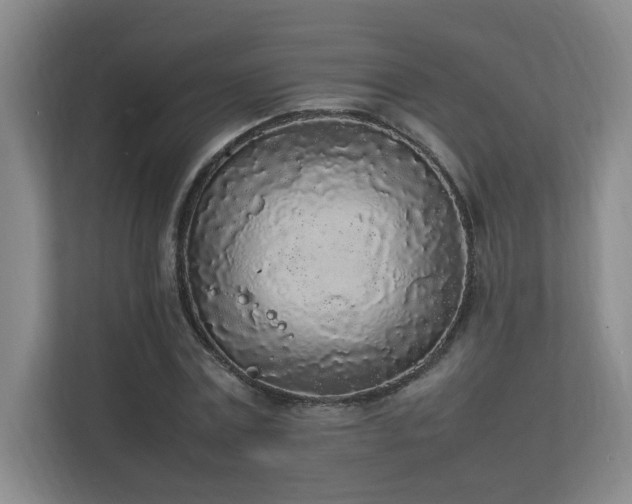 X0000111250779200907021430