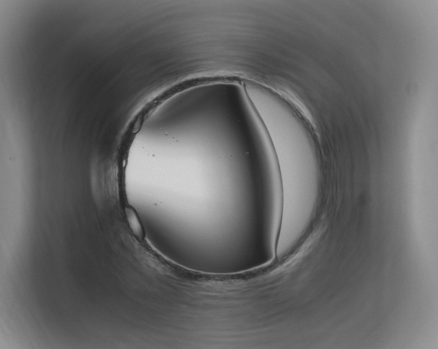 X0000111250781200907021430