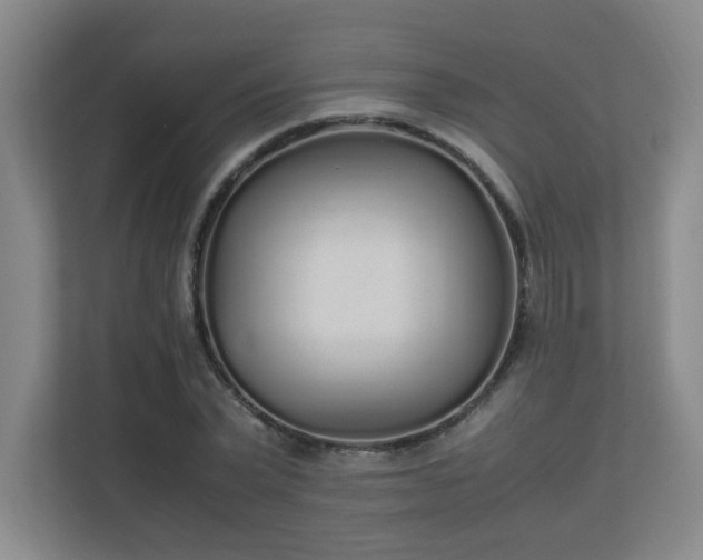 X0000111250783200907021430