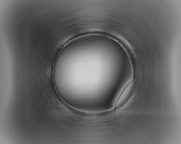 X0000111250785200907021430