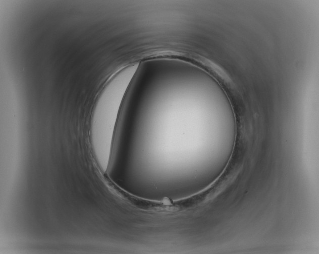 X0000111250793200907021430